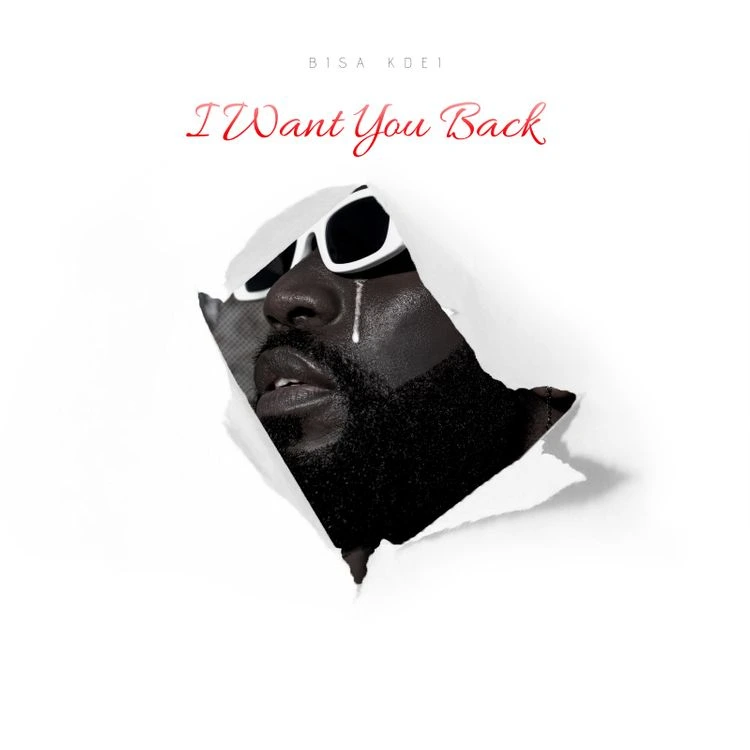 DOWNLOAD Bisa Kdei – I Want You Back mp3
