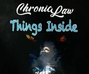 DOWNLOAD Chronic Law – Things Inside mp3