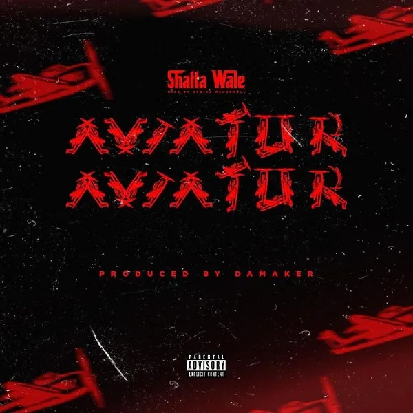 DOWNLOAD Shatta Wale – Aviator mp3