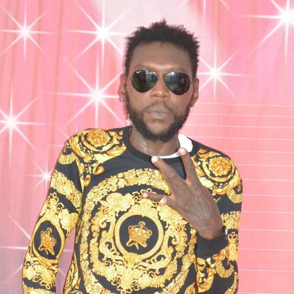 DOWNLOAD Vybz Kartel – Anything You Want Girl mp3