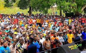 DOWNLOAD Bush boi ft T Sigwa – Waukae mp3