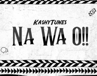 DOWNLOAD KashyTunes – Na Wa O!! mp3