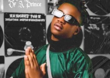 DOWNLOAD ProSoul ft Zanes – Ameva mp3