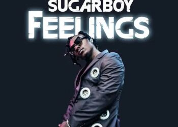 DOWNLOAD Sugarboy – Feelings mp3