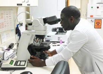 Courses Available at Federal University of Health Sciences Ila Orangun (FUHSI)