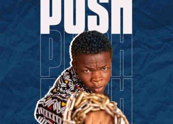 DOWNLOAD Ay Poyoo – Push mp3