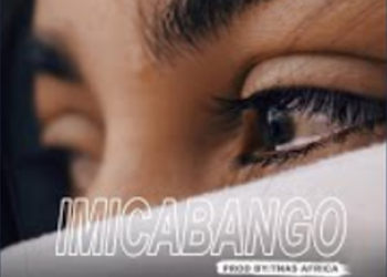 DOWNLOAD Didablk – Imicabango ft L.Deekay mp3