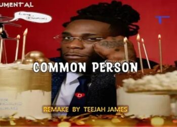 DOWNLOAD Burna Boy – Common Person (Instrumental) mp3