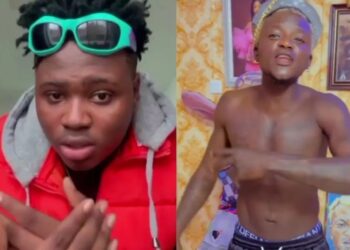 DOWNLOAD Portable – Enjoy My Life Ft. Berri Tiga mp3