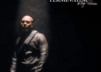 DOWNLOAD King Promise – Terminator mp3