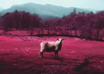 DOWNLOAD Limoblaze – Desire ft. Emandiong mp3