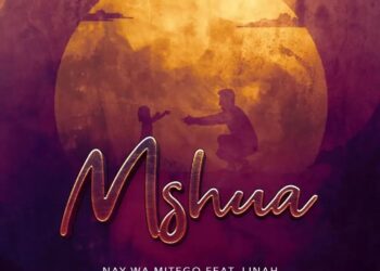 DOWNLOAD Nay Wa Mitego Ft Linah – Mshua mp3
