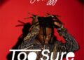 DOWNLOAD Olamzzy – Too Sure mp3