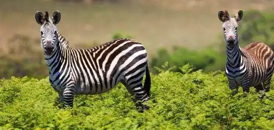 5 reasons why Malawi should be on your African travel list