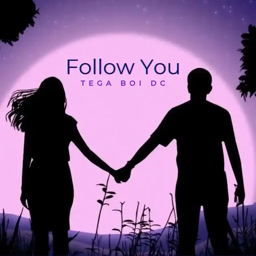 DOWNLOAD Tega Boi dc – Follow You (Speed Up) mp3