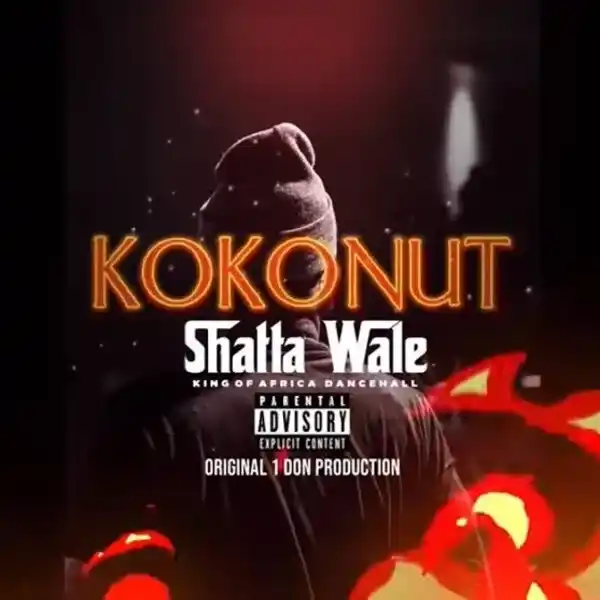 DOWNLOAD Shatta Wale – Kokonut mp3