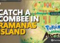 How to Catch Combee Ramanas Island in Pokemon Legends: Arceus