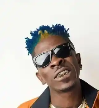 DOWNLOAD Shatta Wale – My Level mp3