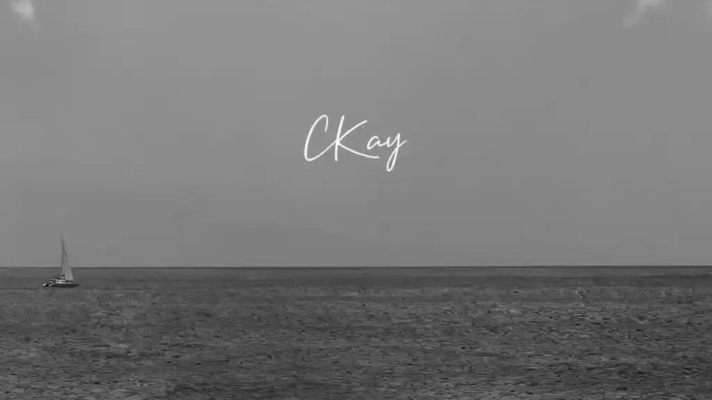 DOWNLOAD CKay – You (Instrumental) mp3