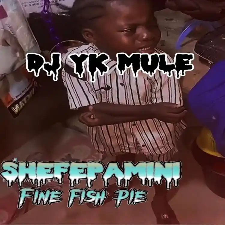 DOWNLOAD Dj Yk Mule – Shefepamini Fine Fish Pie mp3