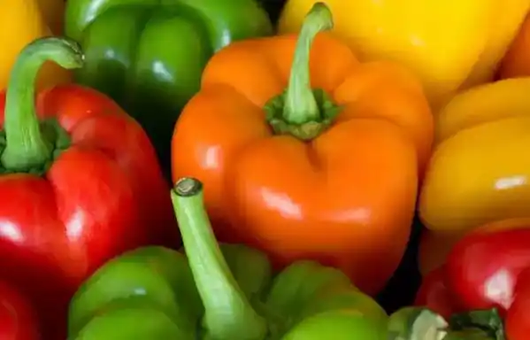 4 types of bell peppers and how they differ in nutrition