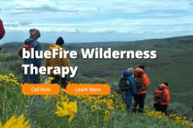 BlueFire Wilderness Therapy: Reviews and Insights