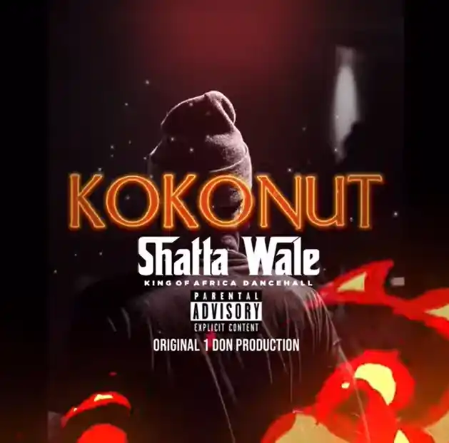 DOWNLOAD Shatta Wale – Kokonut mp3