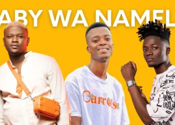 DOWNLOAD Mack Eaze – Baby Wa Namela ft. King Monada & Prince Benza mp3