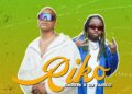 DOWNLOAD Djodje x DJ Tarico – Riko mp3