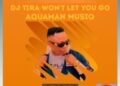 DOWNLOAD Dj Tira – Wont Let You Go (AquaMan MusiQ Remix) mp3