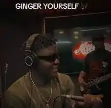 DOWNLOAD Voltage Of Hype – Ginger Yourself mp3