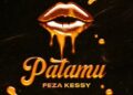DOWNLOAD Feza Kessy – Patamu mp3