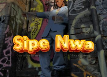DOWNLOAD SALLE – Si Pe Nwa (Gen Z Version) ft. Commissioner Dj_wysei & Obisco Nwamama mp3
