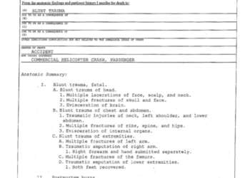 Gigi Autopsy Sketch Report pdf