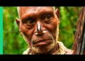 SAVAGE!!! Eating with the World’s Most Isolated Tribe – The Tree People of Papua, Indonesia