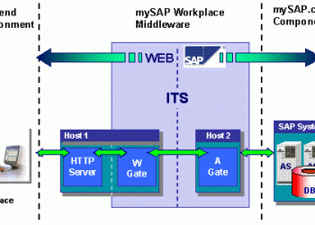 Internet Transaction Server (ITS) in SAP
