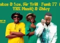 DOWNLOAD Shakes – Funk 77 Ft. Les, Sir Trill, TNK MusiQ & Chley Nkosi mp3