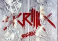 DOWNLOAD Skrillex ft. Sirah – Bangarang mp3