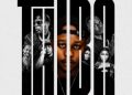 Shaun 101, Mluusician & DJ Maphorisa – Thiba ft. Tango Supreme, Uncool MC & Ricky Lenyora (mp3 Download)