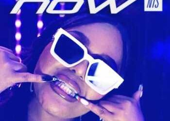 DOWNLOAD DBN Gogo, Musa Keys x Dinho – Possible ft Lebza The Villain, Optimist Music ZA, Koek Sista, Makhanj x Vine MusiQ mp3