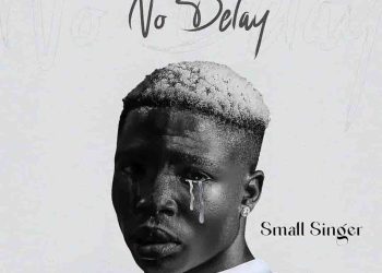 DOWNLOAD Small Singer – No Delay mp3