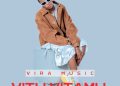 DOWNLOAD Vira Music – Vitu Vitamu mp3