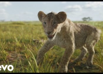 DOWNLOAD Mufasa The Lion King – I Always Wanted A Brother mp3