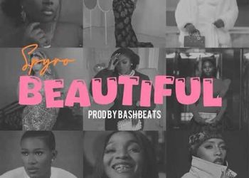 DOWNLOAD Spyro – Beautiful mp3