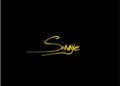DOWNLOAD Siinaye – Marvins Room mp3