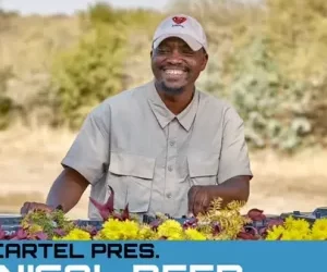 DOWNLOAD Chronical Deep – Bring On The Bass mp3