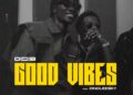 DOWNLOAD Didi B – Good Vibes Ft. Zinoleesky mp3
