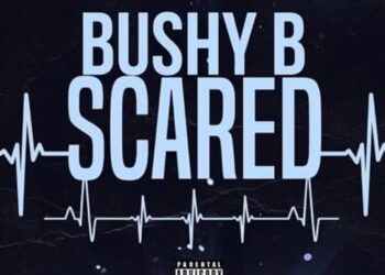 DOWNLOAD Scared To Get Attached Song mp3