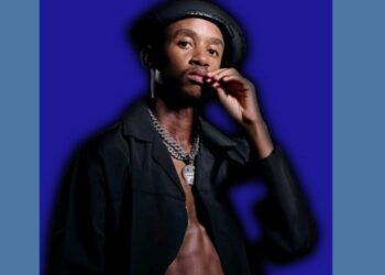 DOWNLOAD Scotts Maphuma – Haibo Ft TNK MusiQ mp3