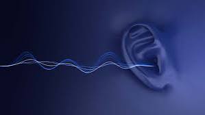 Whip Sound Effect (mp3 Download)